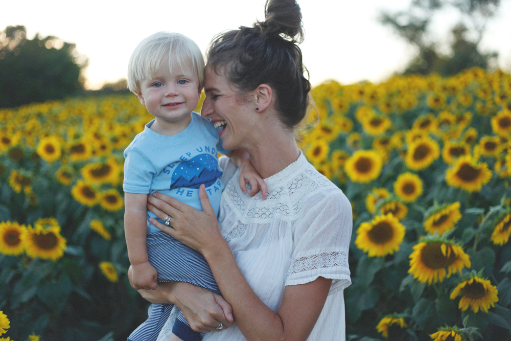 sunflowers