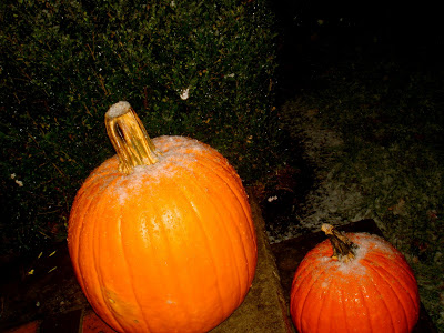 snow on my pumpkins