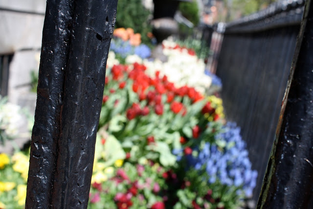 Boston and a birthday.