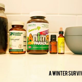 winter survival guide.