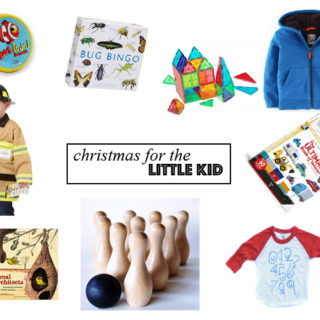 christmas present ideas for the little kid.