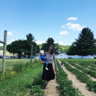 strawberry picking 2016.