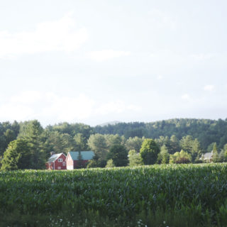 a few days in stowe, vermont with field guide!