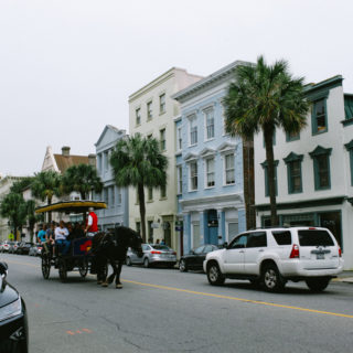 charleston, south carolina + our stay at the beas nest.
