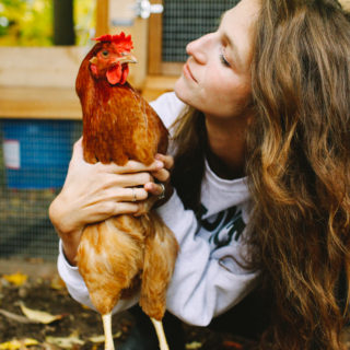 All about our chicken coop, chicken-rearing, and the like! Finally, the girls’ big debut.
