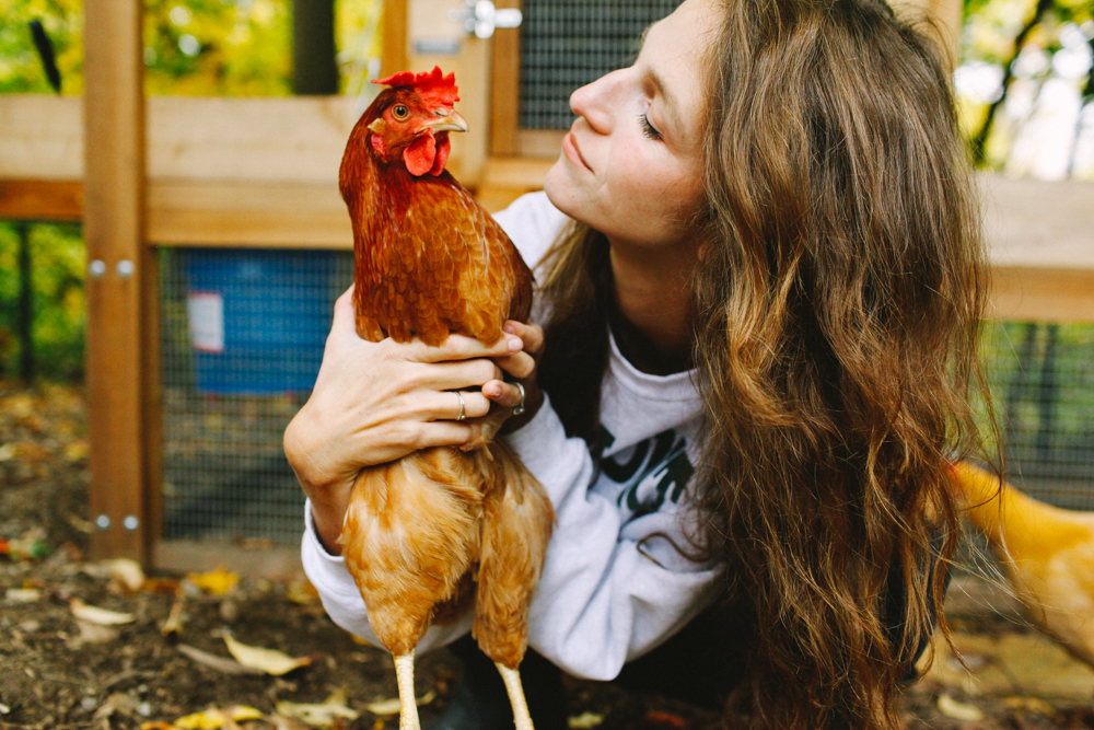 All about our chicken coop, chicken-rearing, and the like! Finally, the girls’ big debut.
